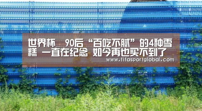 FIFA世界杯