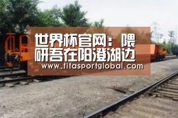世界杯官网:隈研吾在阳澄湖边设计“铝板茅草屋”(图3) 世界杯