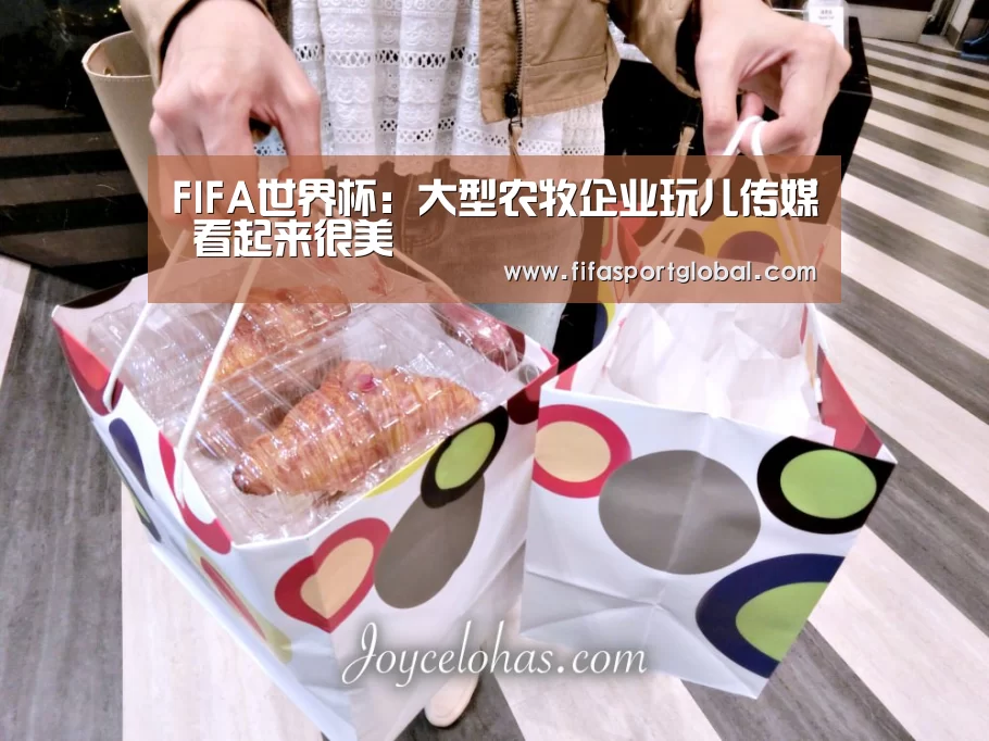 FIFA世界杯:大型农牧企业玩儿传媒 看起来很美(图1) 世界杯官网