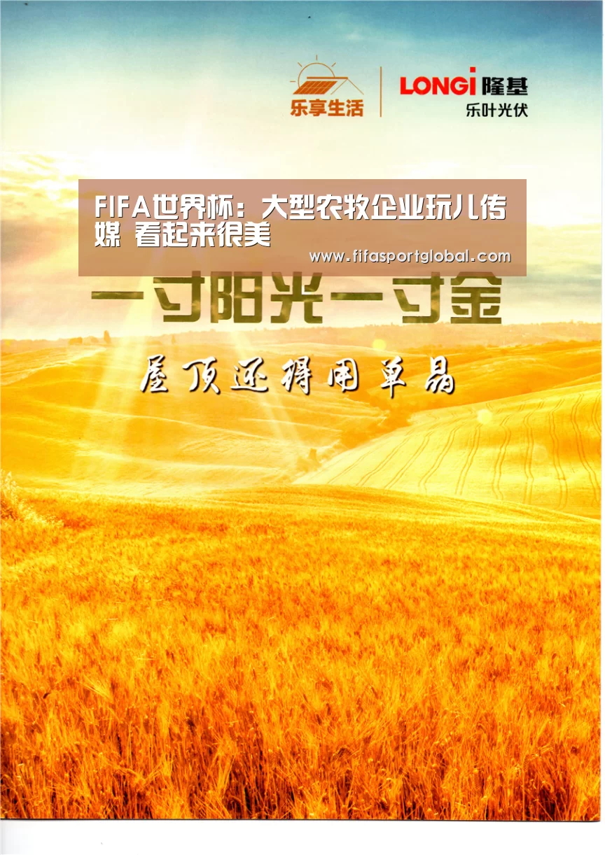 FIFA世界杯:大型农牧企业玩儿传媒 看起来很美(图2) 世界杯官网