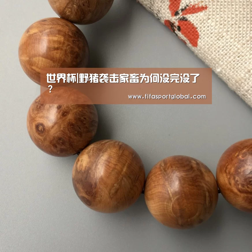 世界杯|野猪袭击家畜为何没完没了?(图3) 世界杯官网